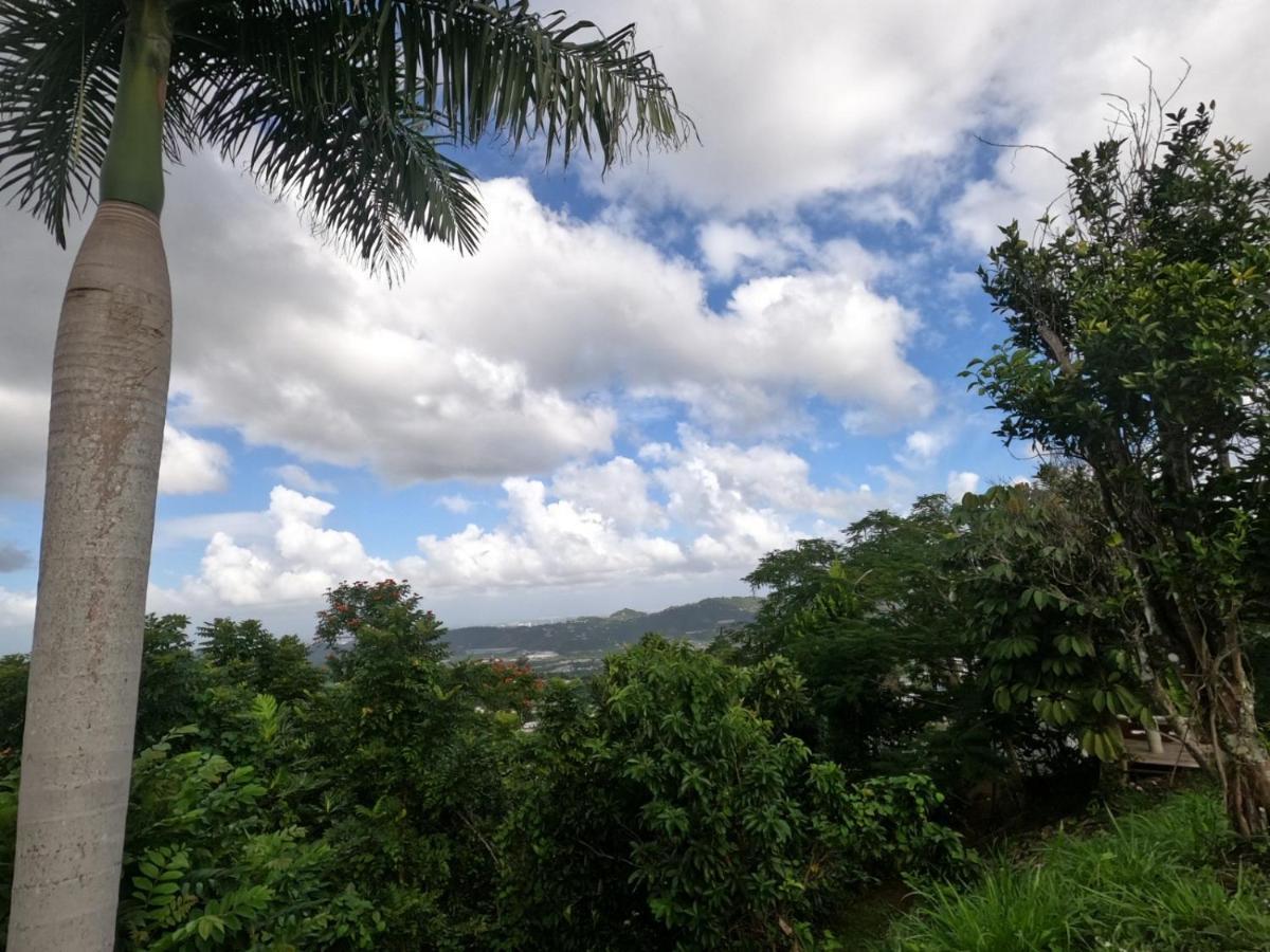 Camping Para Dos - A Escoger Segun Disponibilidad De Caseta O Cabana Caguas Exterior photo